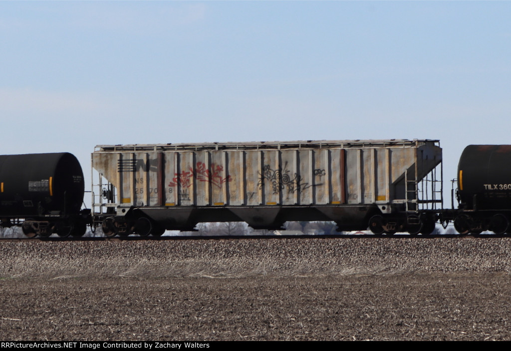 NS 257018